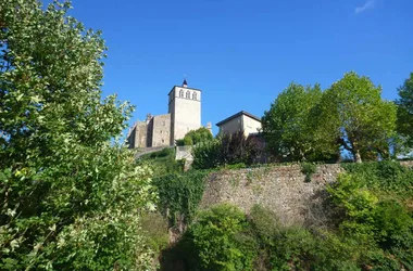 Chemins de Compostelle : Lyon – Le Puy en Velay