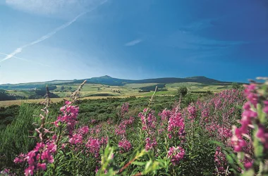 Groupes : Journée du Puy-en-Velay aux Sources de La Loire