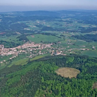 A travers les forêts