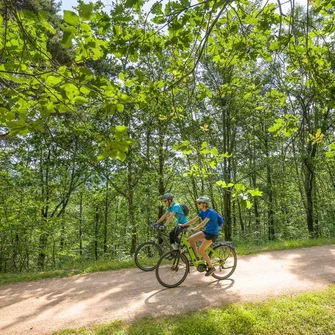 La Forêt du Devès