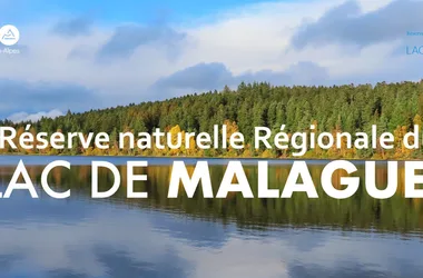 Sentier de la Réserve Naturelle Régionale Lac de Malaguet
