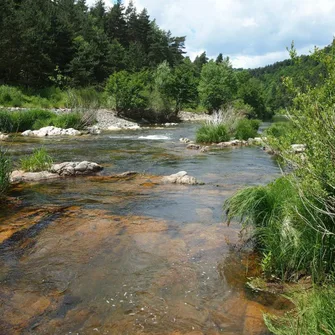 Clin d’œil aux sources de la Loire