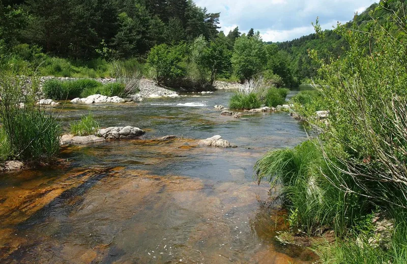 Clin d’œil aux sources de la Loire