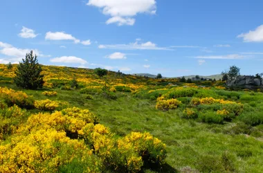 Le Chemin de Stevenson à pied : Du Puy-en-Velay à St-Jean-du-Gard