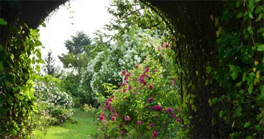 J.E.P. : Le Jardin de Taulhac, patrimoine végétal