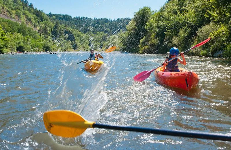 Activité séminaire : Eaux vives