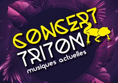 Concert Triton / Musiques actuelles