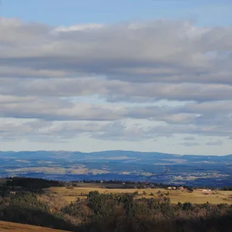 PR206 Le Bois du Bès