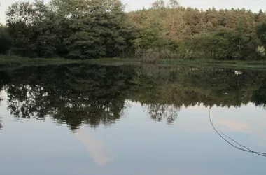 Pêche à l’étang de Mons