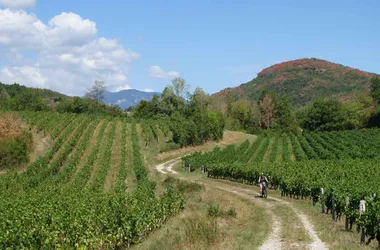 Compostelle à vélo : Genève – Le Puy