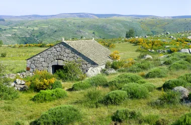 Le Chemin de Stevenson à pied : Du Puy-en-Velay à St-Jean-du-Gard