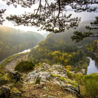 GR3 Source et Gorges de la Loire