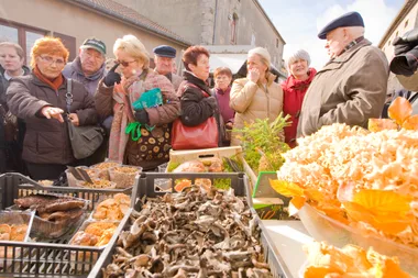 Foire des champignons -L’Automnal gourmand