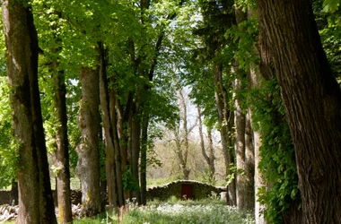 Château du Thiolent et son parc 