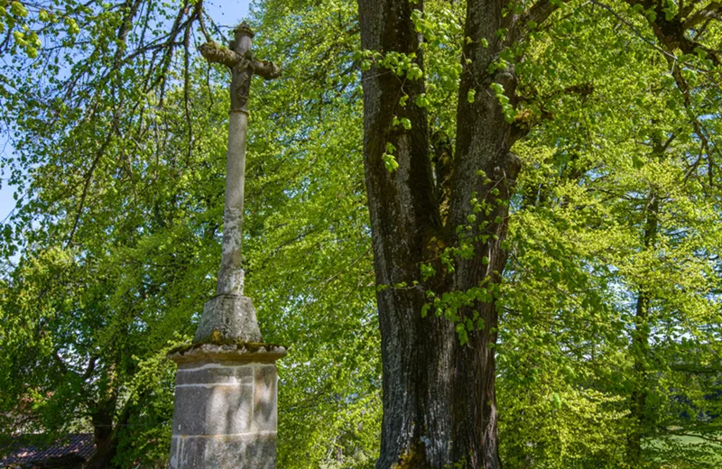 PR103 Folgoux et l’arboretum