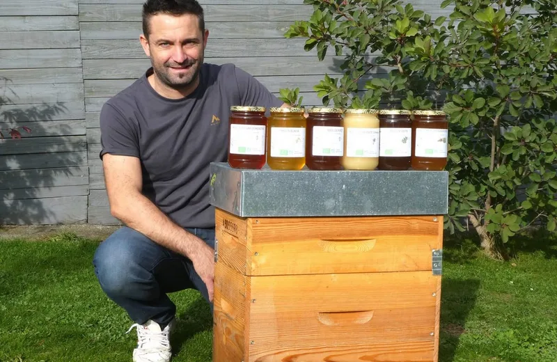 Apiculture Julien Saby