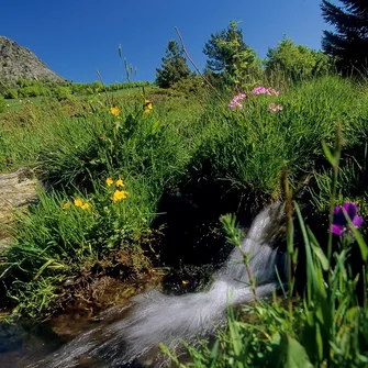 Groupes : Journée du Puy-en-Velay aux Sources de La Loire