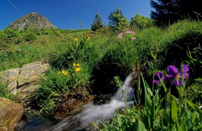 Groupes : Journée du Puy-en-Velay aux Sources de La Loire