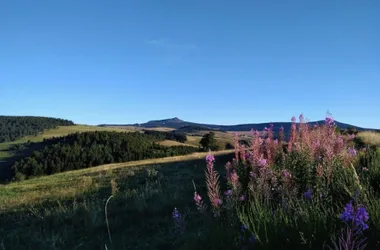 Le chemin de Saint-Régis à pied