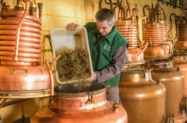 Groupes : Journée du Puy-en-Velay à la Forteresse de Polignac et visite gourmande de la Distillerie Pagès