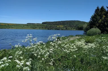 Le chemin de Saint-Régis à pied