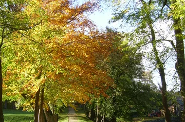 Château du Thiolent et son parc 