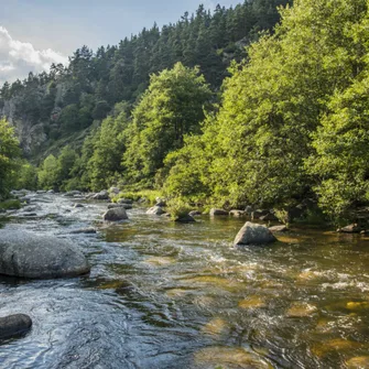 Séjour trappeurs de pêche en canoë – nouvelle formule