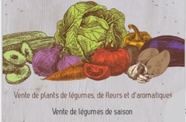 Le potager du goût