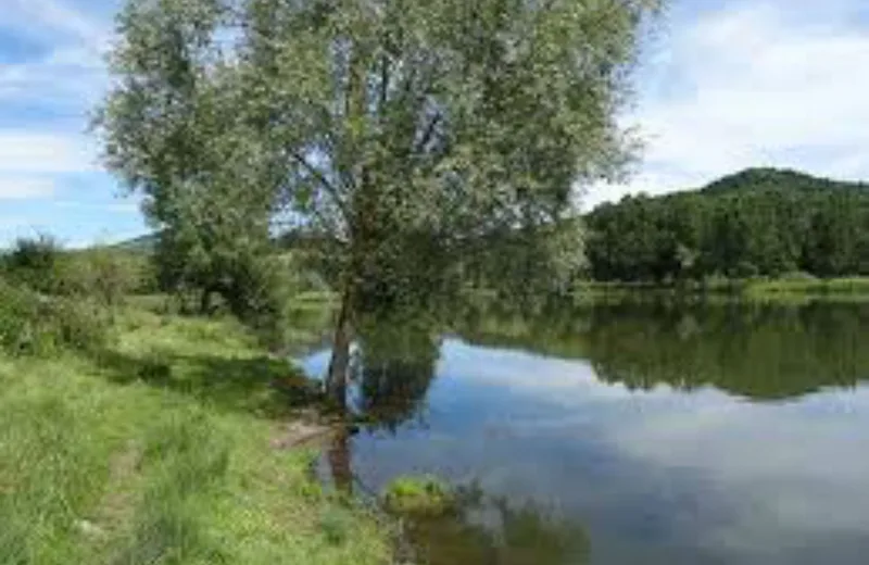 Aire de pique-nique du plan d’eau de Langlade