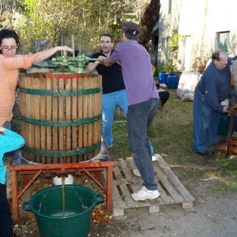 Fête du cidre et de la châtaigne