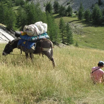 Le Chemin de Stevenson à pied :  Du Puy-en-Velay à Chasseradès