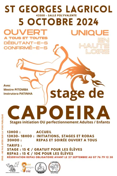 Stage de Capoeira