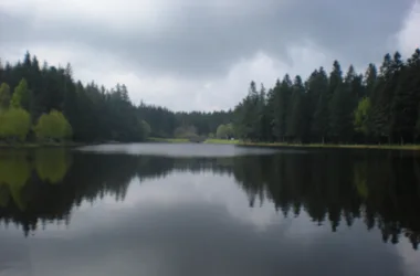 Etang du Breuil