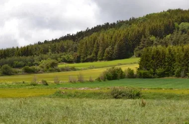 Balades – Les Écuries de Bélénos