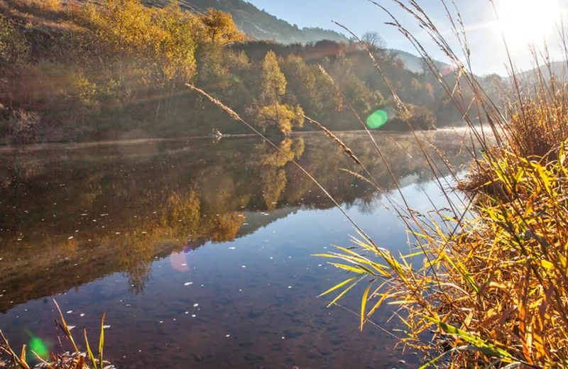 PR654 Sentier de la Loire sauvage