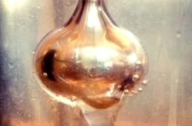 Distillerie – Terre d’Alchimie