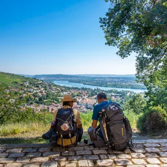 Chemins de Compostelle : Condrieu – Le Puy en Velay