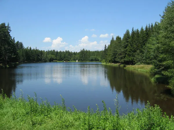 Etang du Breuil