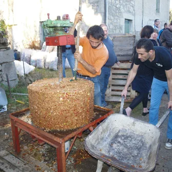 Fête du cidre et de la châtaigne