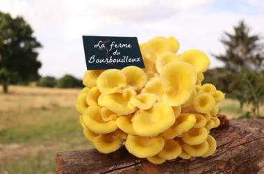 La ferme du Bourbouilloux