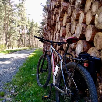 Dialogue avec Stevenson à vélo éléctrique ou VTC