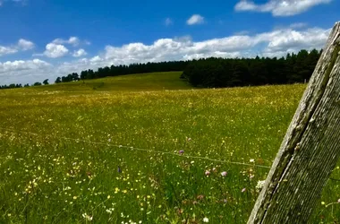 Le Tour des Volcans du Velay à pied