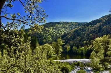 Le Tour des Volcans du Velay à pied