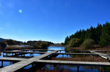 Le chemin de Saint-Régis à pied