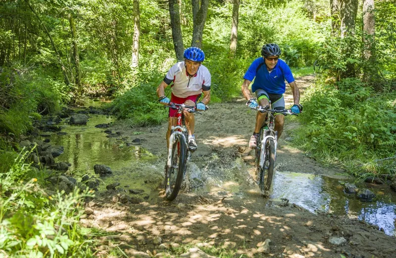 Aux frontières du 43