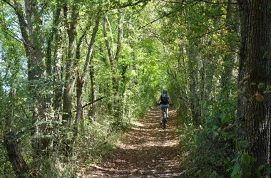 Compostelle à vélo : Genève – Le Puy