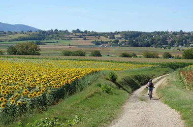 Compostelle à vélo : Genève – Le Puy