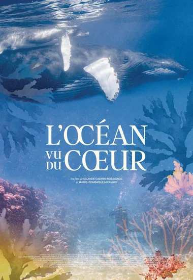 Projection du film : “L’Océan vu du cœur”