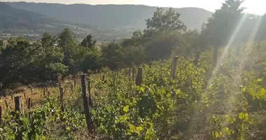 La vigne & les Hauts Jardins