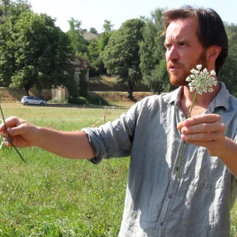 Trésors de l’automne : les plantes automnales en bords de Loire